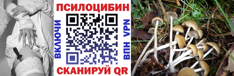 Псилоцибиновые грибы Psilocybine cubensis  Ишим 